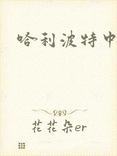 哈利波特中文版