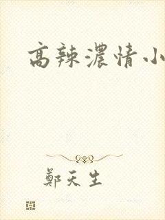 高辣浓情小说