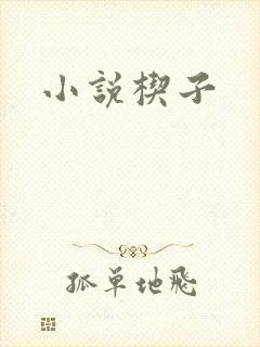 小说楔子
