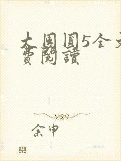 大团圆5全文免费阅读