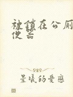 被锁在公厕当坐便器