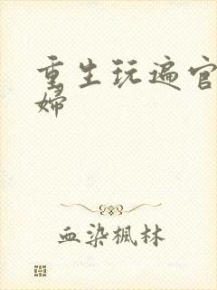 重生玩遍官场贵妇