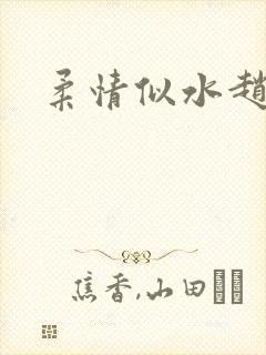 柔情似水赵雅儿