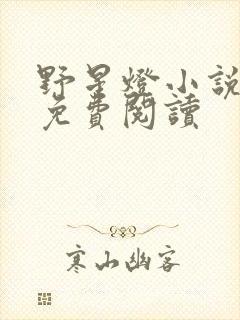 野星灯小说全文免费阅读