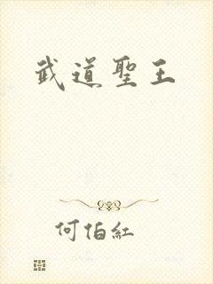 武道圣王