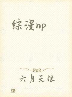 综漫np