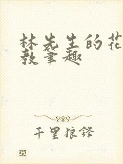 林先生的花式管教笔趣