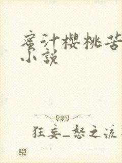 蜜汁樱桃苦咖啡小说