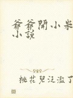爷爷开小米的包小说