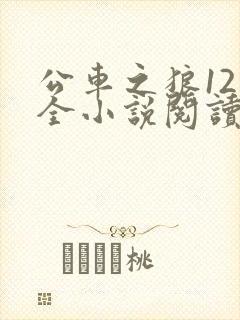 公车之狼12集全小说阅读