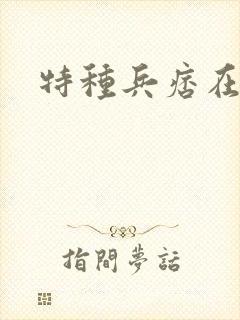 特种兵痞在都市