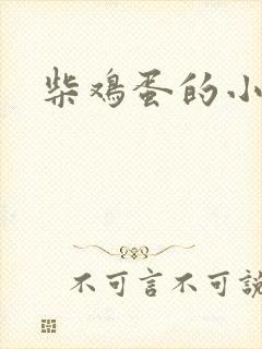 柴鸡蛋的小说