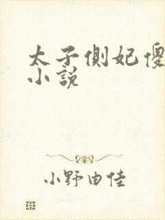 太子侧妃傻乎乎小说