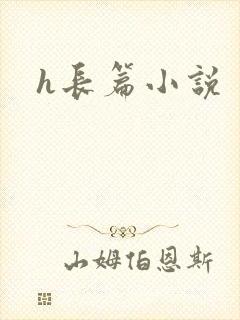 h长篇小说