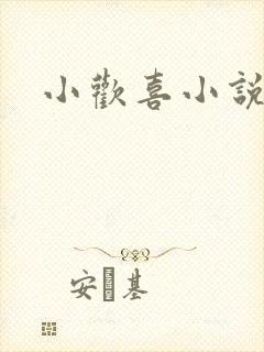 小欢喜小说