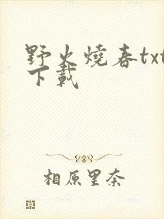 野火烧春txt下载