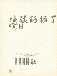 他猛的插了进去啊H