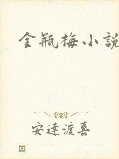 金瓶梅小说