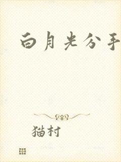 白月光分手日常