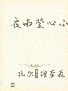 夜雨莹心小说