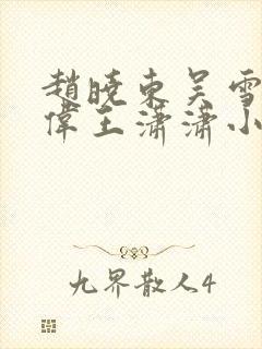 赵晓东吴雪晴郑伟王潇潇小说