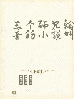 三个师兄轮流上音的小说叫什么