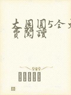 大团圆5全文免费阅读