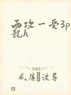 两攻一受3p双龙h