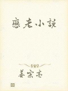 恋老小说