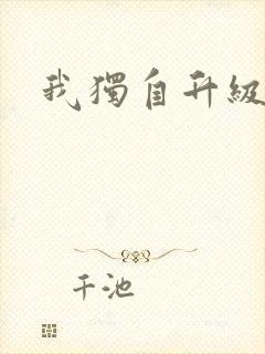 我独自升级小说