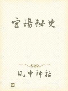 官场秘史