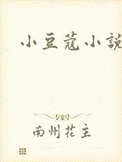 小豆蔻小说