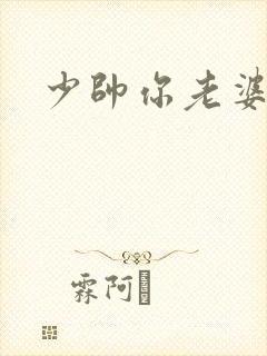 少帅你老婆