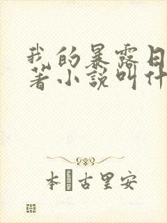 我的暴露日记原著小说叫什么