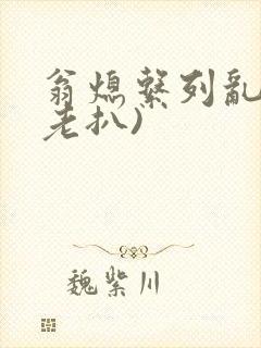 翁熄系列乱 (老扒)
