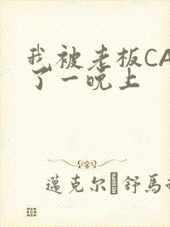 我被老板CAO了一晚上