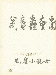 公交车大龟廷进我身体里图