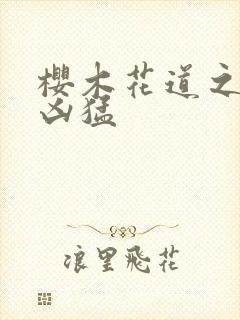 樱木花道之重生凶猛