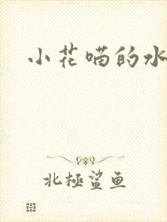 小花喵的水蜜桃