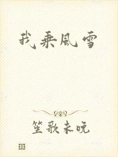 我乘风雪