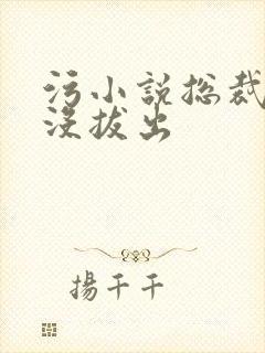 污小说总裁整夜没拔出