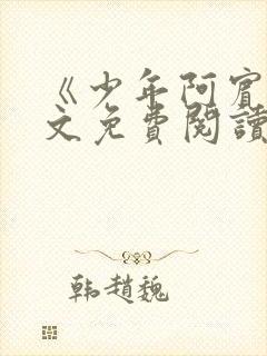 《少年阿宾》全文免费阅读