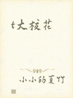 t大校花