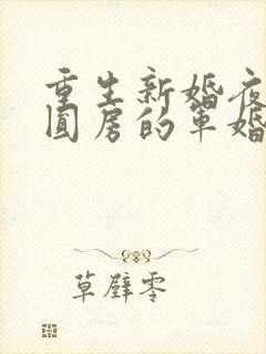 重生新婚夜正在圆房的军婚