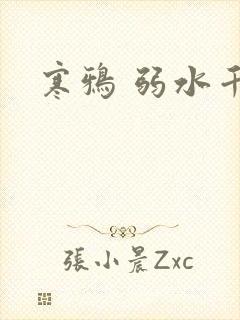 寒鸦 弱水千流