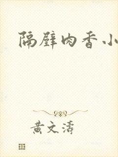 隔壁肉香小说