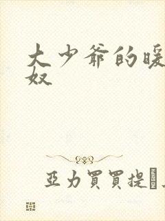 大少爷的暖床小奴