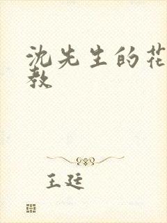 沈先生的花式管教