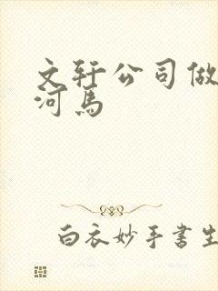 文轩公司做扩张河马