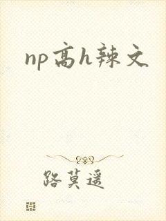 np高h辣文